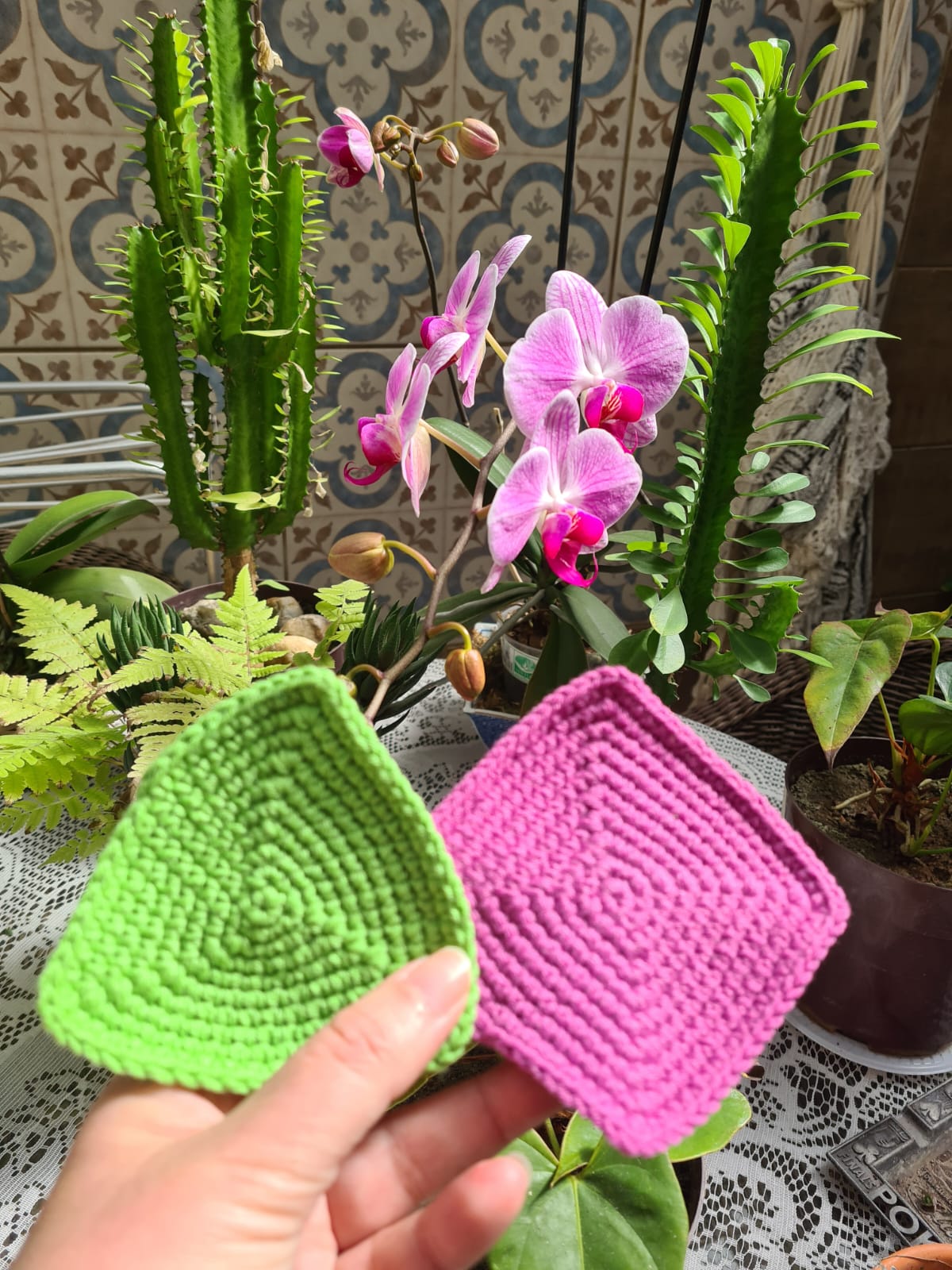 Fernanda De Guimarães